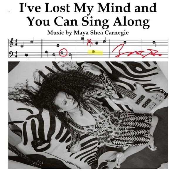 Cover art for I've Lost My Mind and You Can Sing Along